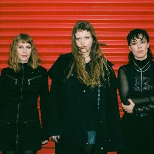 Concert du groupe Rosier (Québec)